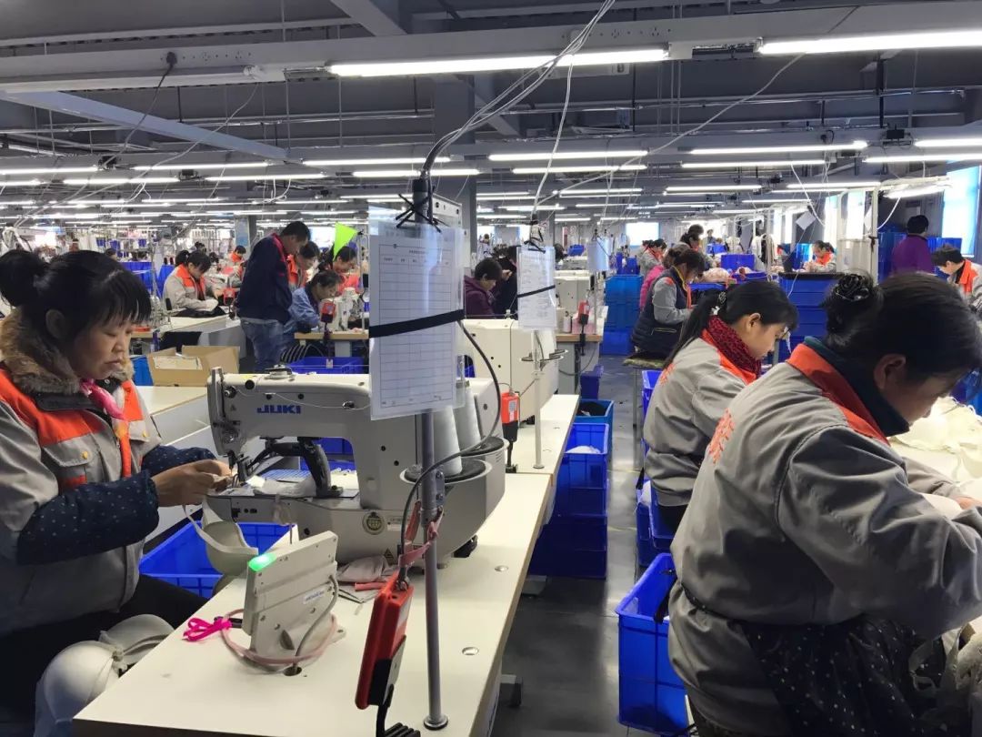 1565598936744071568.jpeg 6.jpeg